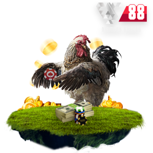 SPORTS-DS88